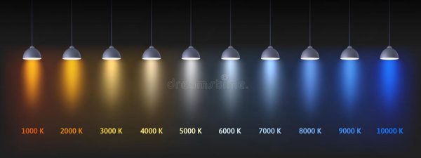 color-temperature-scale-interior-lights-chart-kelvins-cold-warm-lighting-lamps-vector-illustration-bright-intensity-265913778