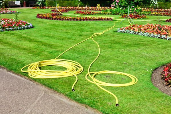 21543533 - two yellow hosepipes in a landscaped garden