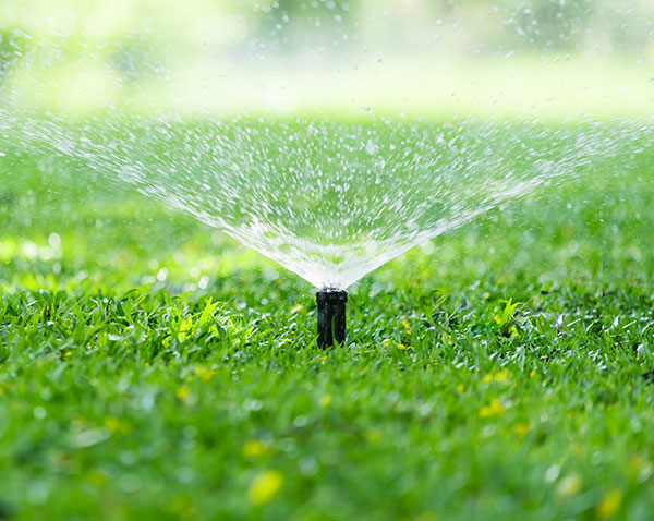 automatic-garden-lawn-sprinkler-in-action-watering-grass3